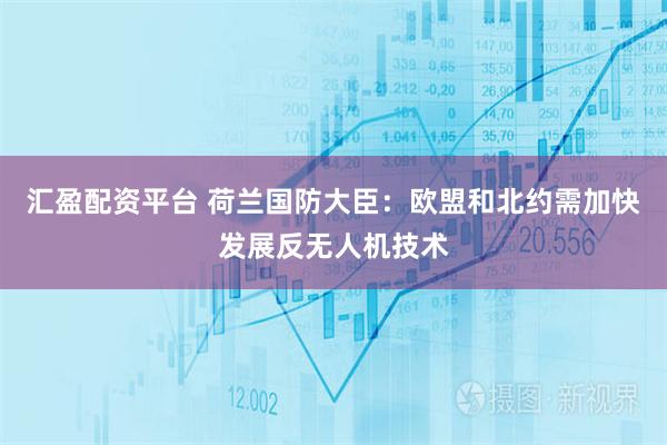 汇盈配资平台 荷兰国防大臣：欧盟和北约需加快发展反无人机技术