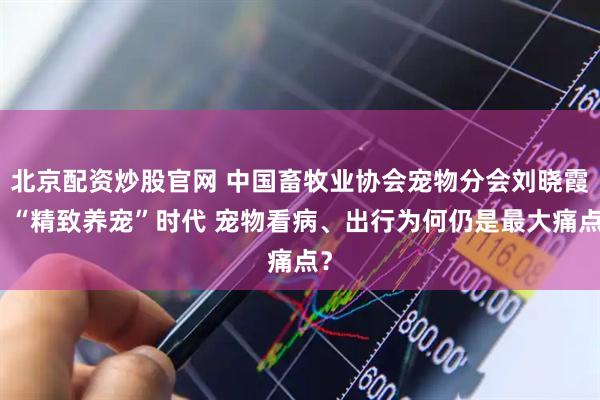 北京配资炒股官网 中国畜牧业协会宠物分会刘晓霞：“精致养宠”时代 宠物看病、出行为何仍是最大痛点？
