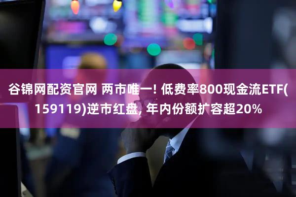 谷锦网配资官网 两市唯一! 低费率800现金流ETF(159119)逆市红盘, 年内份额扩容超20%