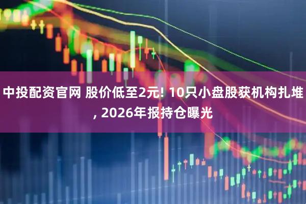 中投配资官网 股价低至2元! 10只小盘股获机构扎堆, 2026年报持仓曝光
