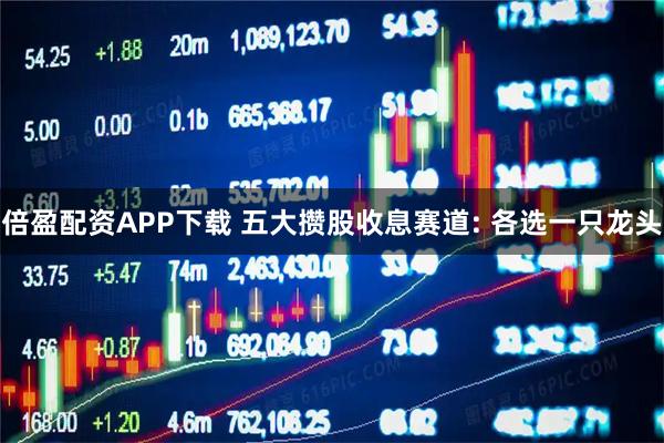 倍盈配资APP下载 五大攒股收息赛道: 各选一只龙头